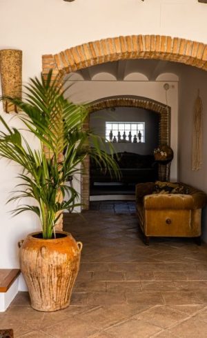 masia-casa-rural-penedes-vino-enoturismo-4